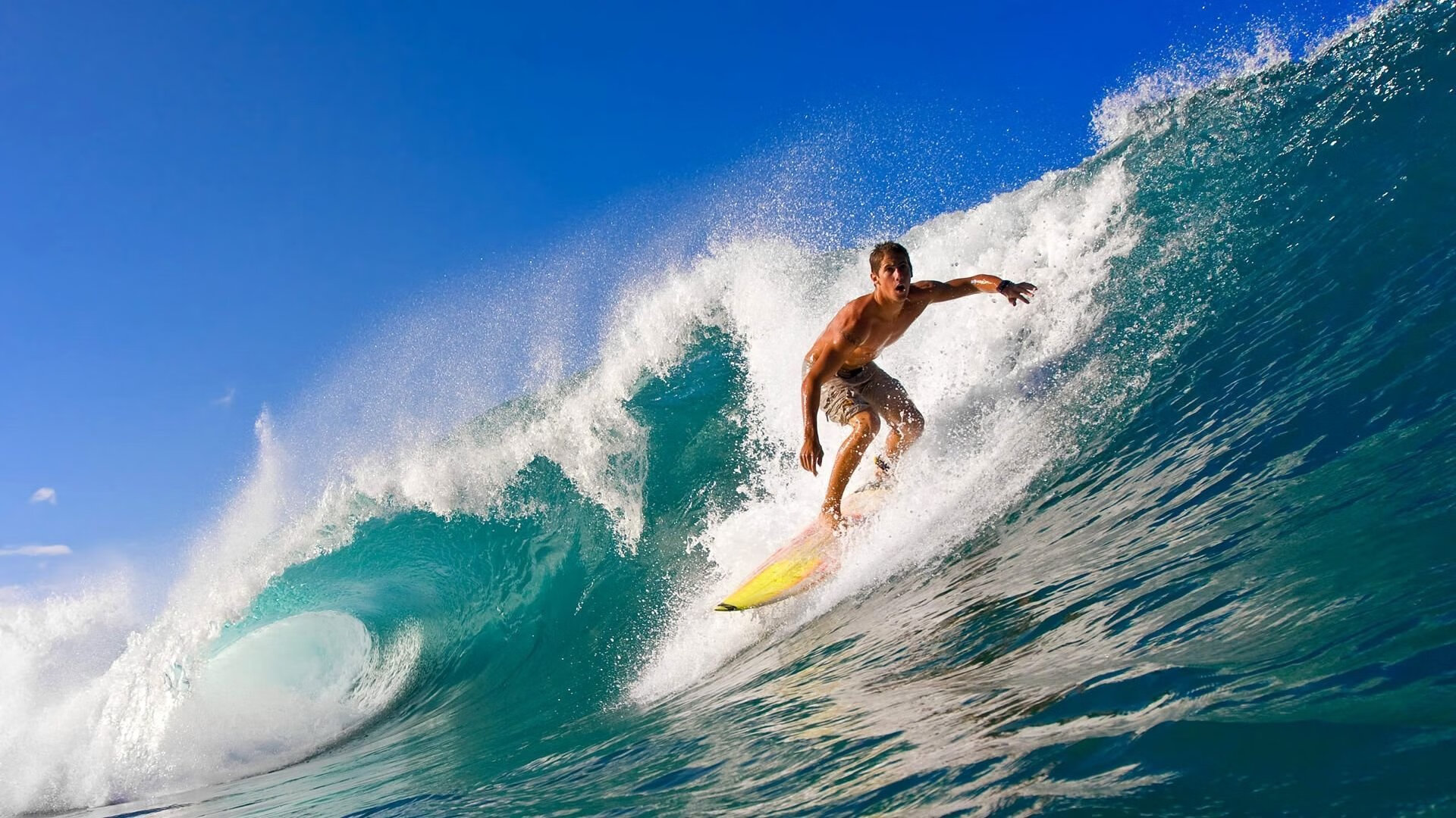 高校体育课程质量控制体系研究,高校体育课程设置